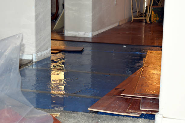 Professional Burst Pipe Cleanup technician working in Inkster, MI